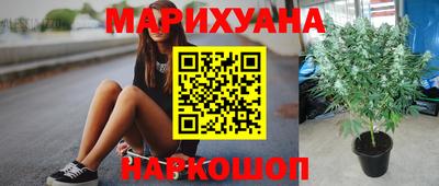 крисы Ливны