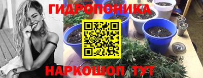 PSILOCYBIN Лесосибирск