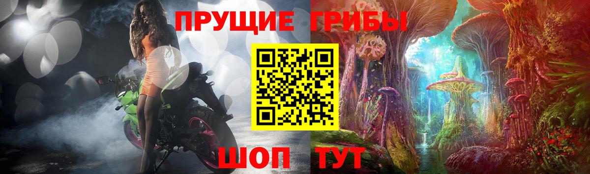 Галлюциногенные грибы GOLDEN TEACHER Зима